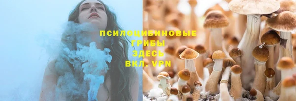 мдпв Арсеньев