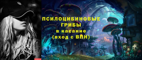 мдпв Арсеньев