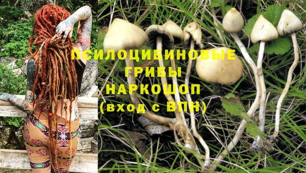 мдпв Арсеньев