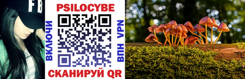 Псилоцибиновые грибы Psilocybine cubensis  это официальный сайт  Приозерск 